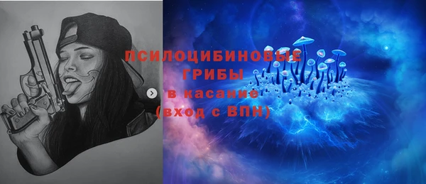 гашик Семёнов