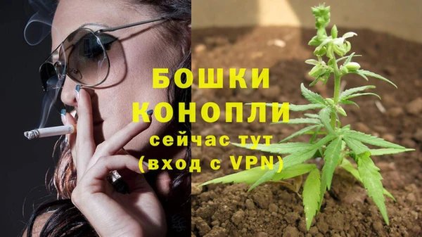 PSILOCYBIN Дмитровск