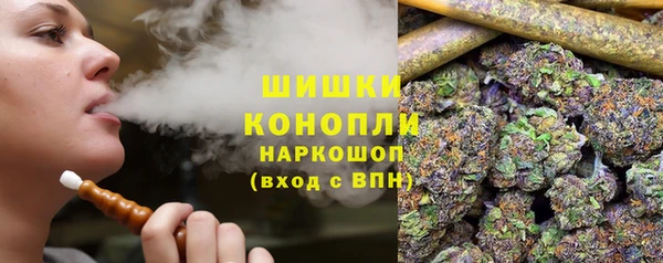 амф Семилуки