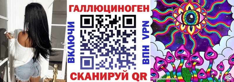 OMG ссылка Будённовск Псилоцибиновые грибы Cubensis