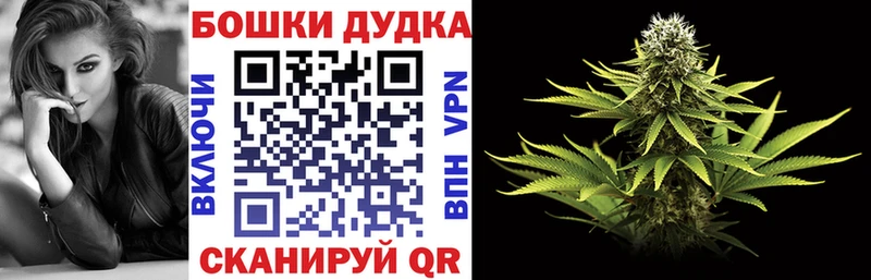 Конопля сатива  Будённовск 